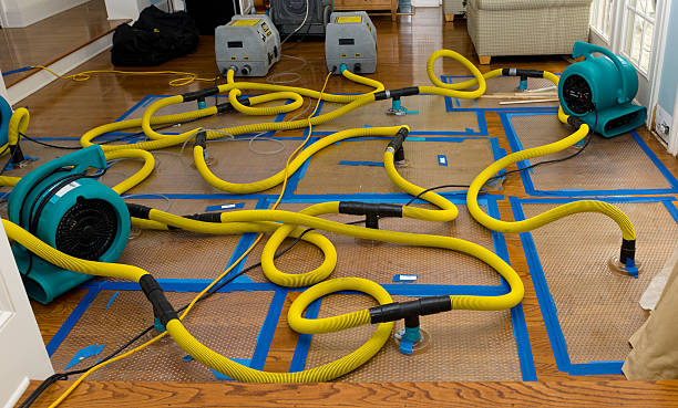 Professional Basement Flood Cleanup technician working in Medina, OH